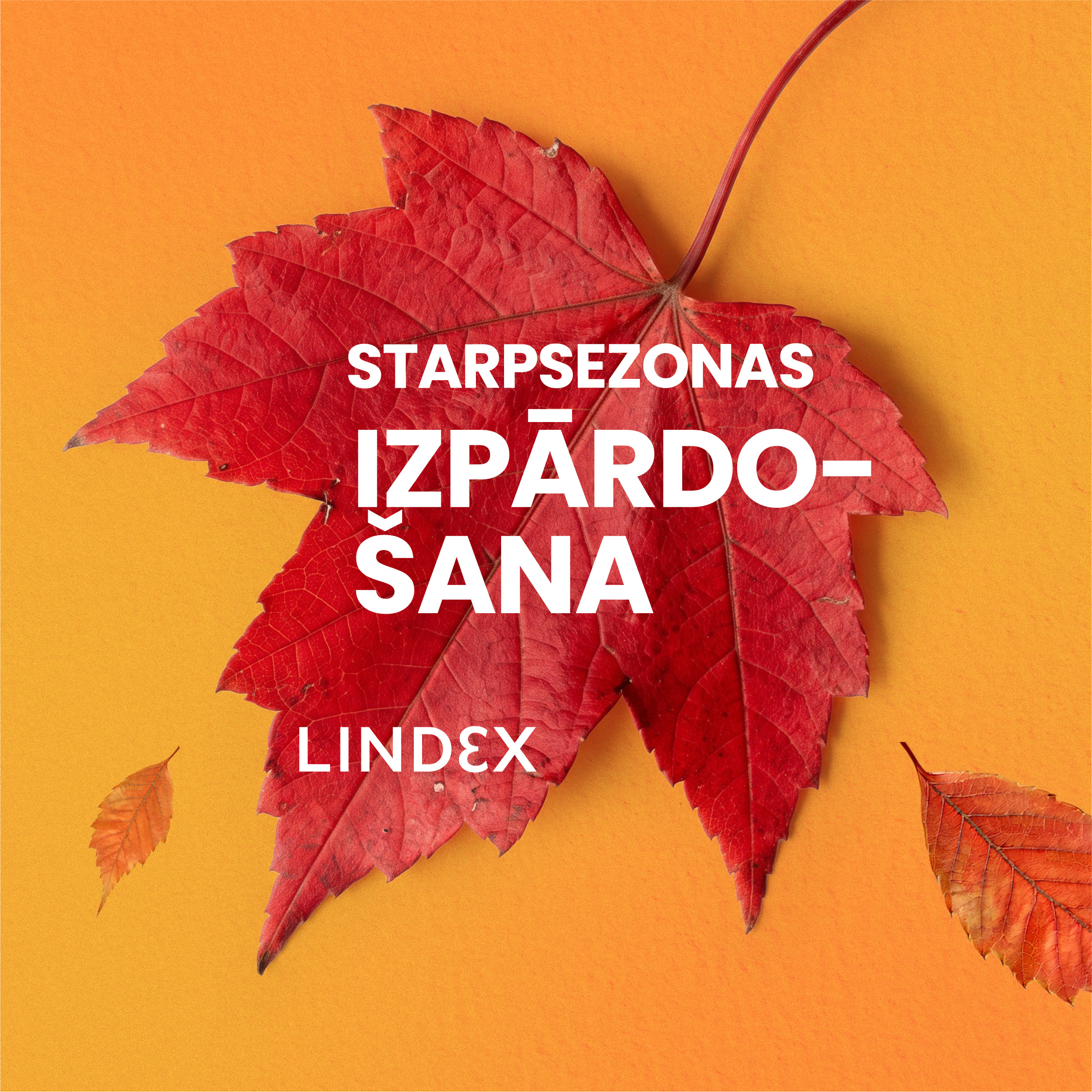 Lindex